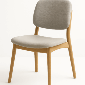 Nordwell Dining Chair